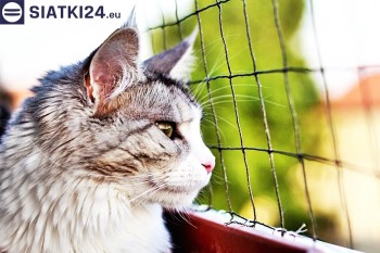 Siatki Milicz - Siatka na balkony dla kota i zabezpieczenie dzieci dla terenów Milicza