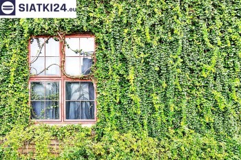 Siatki Milicz - Siatka z dużym oczkiem - wsparcie dla roślin pnących na altance, domu i garażu dla terenów Milicza